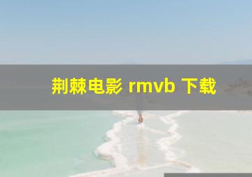 荆棘电影 rmvb 下载